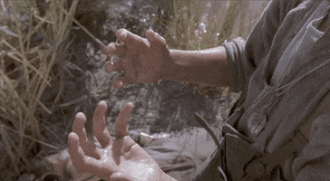 Word GIF