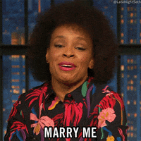 Marry Me Lol GIF by Late Night with Seth Meyers
