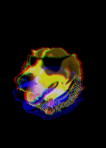 Dog GIF