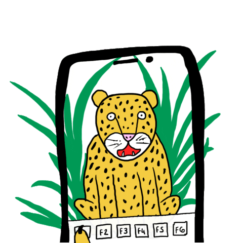 Cat Instagram Sticker