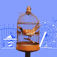 200.gif?cid=fc005b08acb1601e56177d369f6346546bcde4d9a9b02d1f&rid=200.gif&ct=g