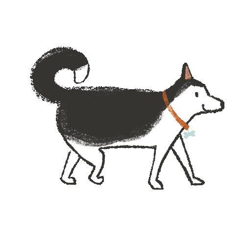 Siberian Husky Dog Sticker by Sarah Kurpiel