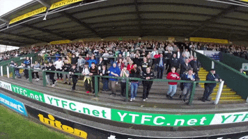 fans celebrate GIF by Yeovil Town FC
