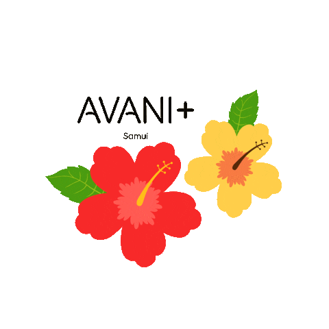 Explore Koh Samui Sticker by avanisamui