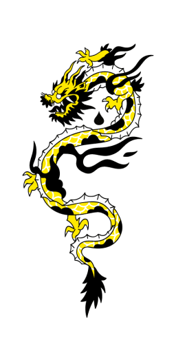 Dragon Tattoo Vector for Sticker Stock Vector  Illustration of design  asia 123284523