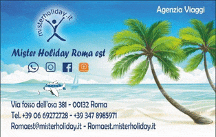 MISTER HOLIDAY ROMA EST GIF