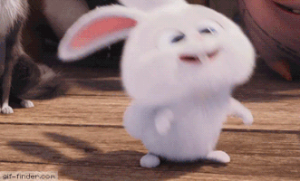 laugh bunny GIF
