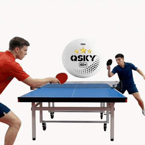Table Tennis Play GIF by QSKY