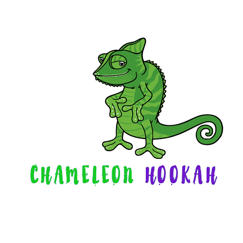 Hookah Cachimba Sticker by chameleonhookah