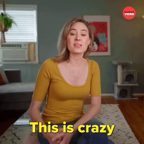 This Is Crazy International Cat Day GIF by BuzzFeed
