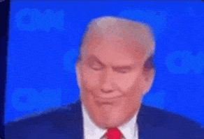 Donald Trump GIF