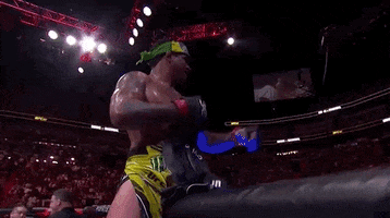 Sport Cage GIF by UFC