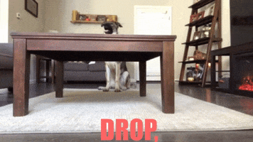 Disaster Ready Washington GIF