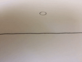 Animation Bounce GIF