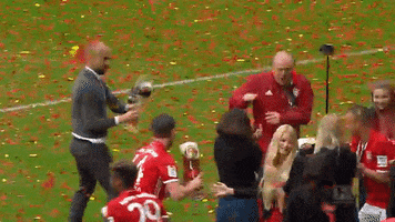 Xabi Alonso Win GIF by FC Bayern Munich