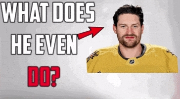 Las Vegas Hockey GIF