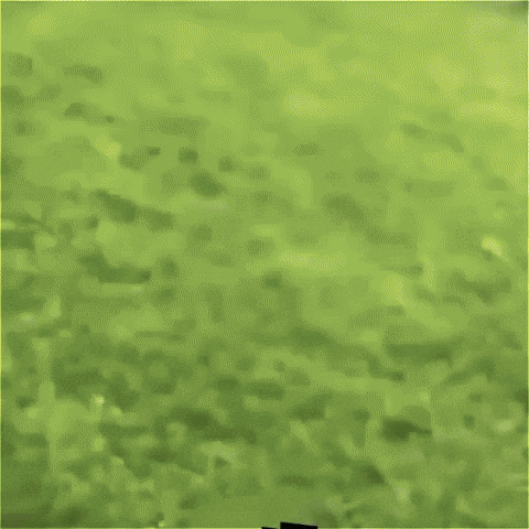 Hurdler GIF