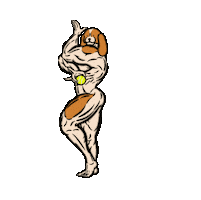 Dog Ball Sticker