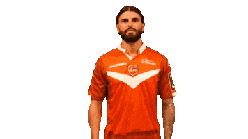 Spanorahou Sticker by VAFC