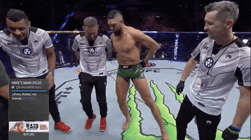 Johnny Walker Dance GIF by UFC