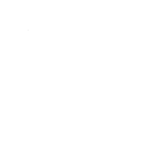 Yann RAOULT GIF