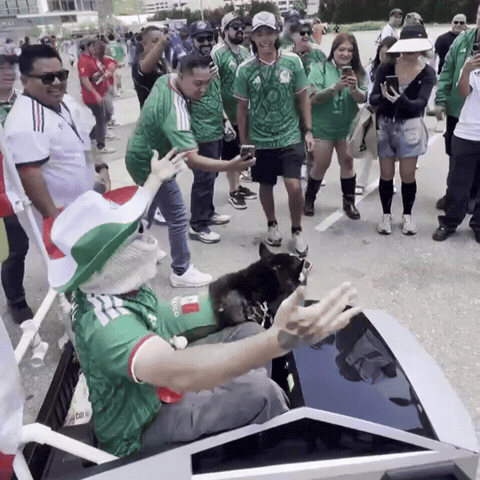 World Cup Soccer GIF by SWAGGY WOLFDOG
