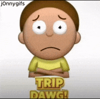 Dont Even Trip Dawg GIF