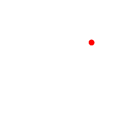 Cape Town Squad Sticker
