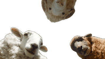 Sticker by The Sheep Detectives