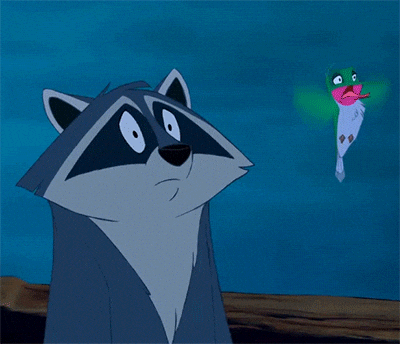 giphy.gif?cid=3640f6095beaef3b4d4778524d