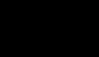 CICLI PUZONE SRL GIF