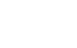 Mymhsummer Sticker by Tourism Medicine Hat