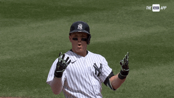Celebrate New York Yankees GIF by YES Network