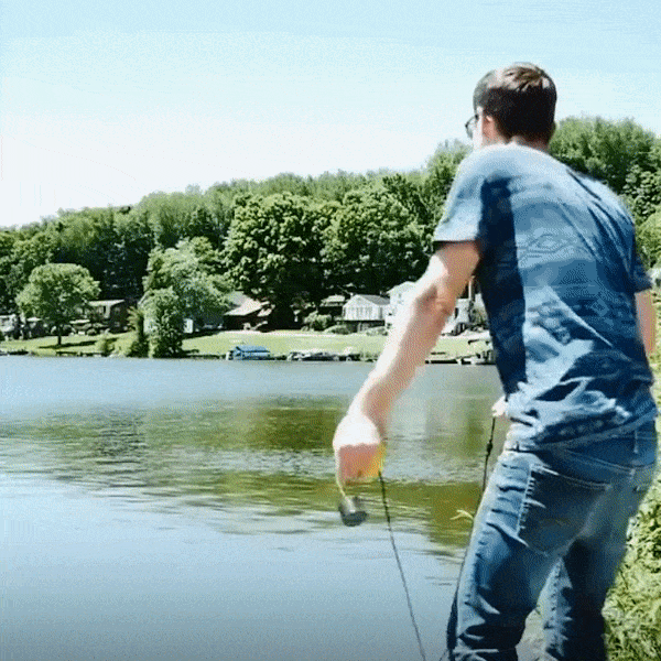 Animated GIF