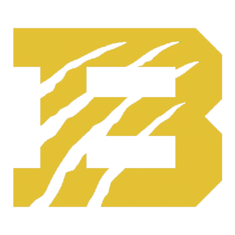 Wildcats Bu Sticker by Bethel University