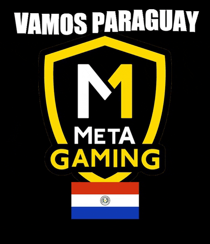 Paraguay Metagaming GIF by Meta Sports Py