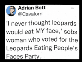 Politics Voting GIF