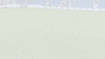 Maccabi Netanya FC GIF