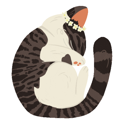 Cat Illustration Sticker