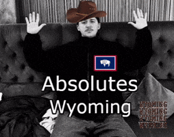 Absolute Cinema GIF