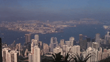 Bloodsport GIF