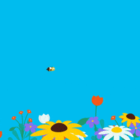 Summer Spring GIF by Framesequence
