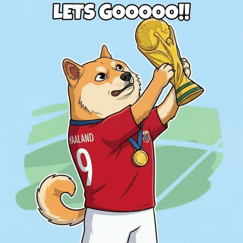 Happy World Cup GIF by Doge Pound