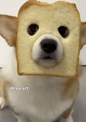 Sliced Bread Dog GIF by DevX Art