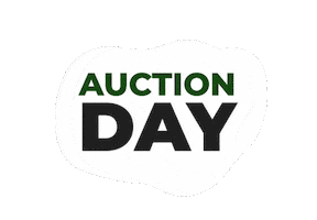 DPA Auctions Sticker