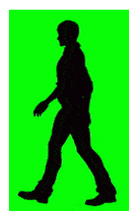 Green Screen Walking Sticker