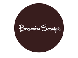 Boscaini Scarpe GIF