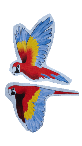Love Birds Parrot Sticker by Big Indie Records