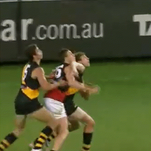 GIF by Essendon FC
