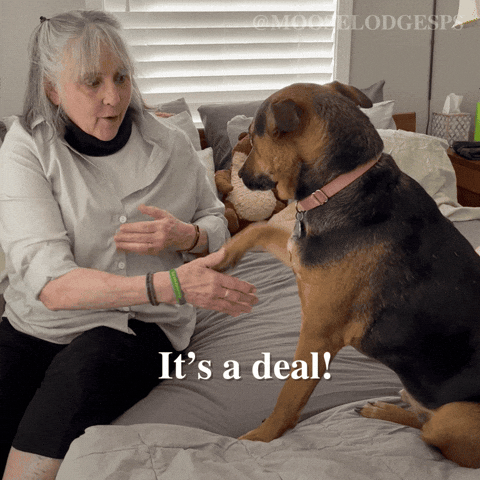 Team Agree GIF by Moose Lodge Senior Pet Sanctuary